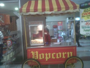 ana maria  Anuncios gratis en Recoleta |  arriendo carro de cabritas para eventos, arriendo carro de cabritas para eventos