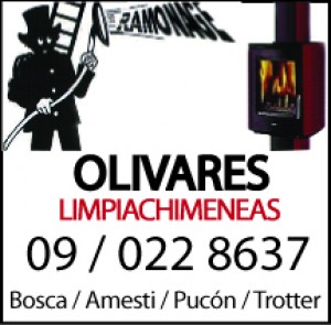 david olivares  Anuncios gratis en Colina |  mantencion  de calefactores de doble camara de conbustion , limpiesa de chimeneas 