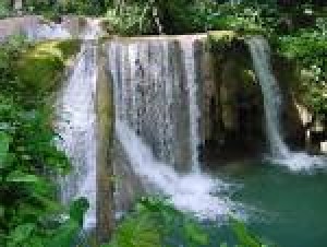 lily Anuncios gratis en Recoleta |  terapia de relajacion y sanacion, reiki aliniacion de tus chakras, energisa tu cuerpo 