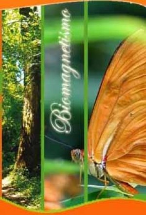 Paola Gomez Varela Anuncios gratis en Chill&aacute;n |  Biomagnetismo, imanes que curan las enfermedades, Fibromialgias, Depresiones,Alergias, Dolores Lumbares, Lumbagos etc....