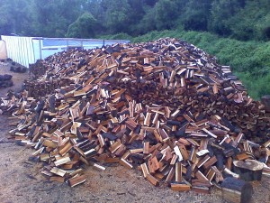 Scandar Rabah Heresi Anuncios gratis en Concepci&oacute;n |  Compro metros ruma Aromo, Eucalipto globulus  para le&ntilde;a aprox. 250 metros., Le&ntilde;a para astillas