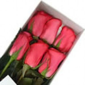 Floreria Rosalinda Anuncios gratis en Independencia |  Hermosas Flores y Regalos a Domicilio: www.rosalinda.cl, Interpretamos el lenguaje de las Flores