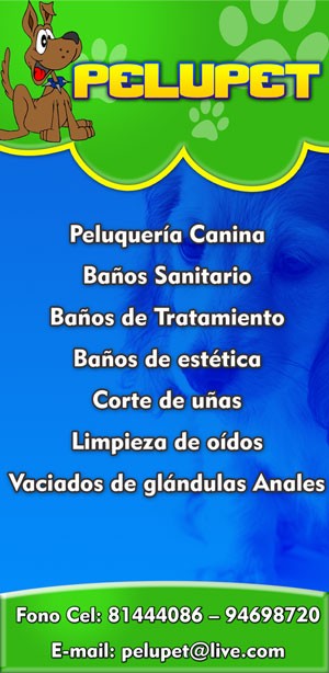 PeluPet Anuncios gratis en Chill&aacute;n |  PELU PET    , Peluqueria Canina
