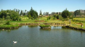 Hacienda 4 Hermanos Anuncios gratis en Limache |  Celebre Fiestas Patrias en Hacienda 4 Hermanos!, Limache, Los Laureles