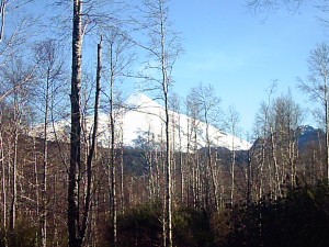 HELMUT SCHMDIT Anuncios gratis en Puc&oacute;n |  PARCELA 5000 MTRS  PUCON, PERMUTO PARCELA PUCON 