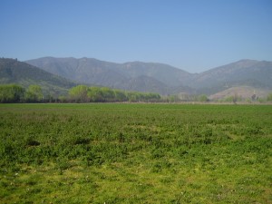 jose Anuncios gratis en San Fernando |  6ta region Se vende Parcela 10.5 has En Millahue,San vicente tt.  .webarato, Excelente ubicacion