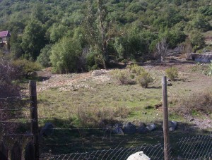 Claudia Anuncios gratis en San Jos&eacute; de Maipo |  GUAYACAN , PARCELA A COSTADO DE LA CARRETERA, 5000 METROS., AGRADABLE SECTOR. 