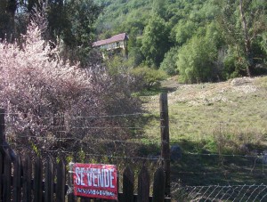CLAUDIA  Anuncios gratis en San Jos&eacute; de Maipo |  SAN JOSE DE MAIPO, AGRADABLE PARCELA A ORILLA DEL CAMINO. , MUY BUENA UBICACION