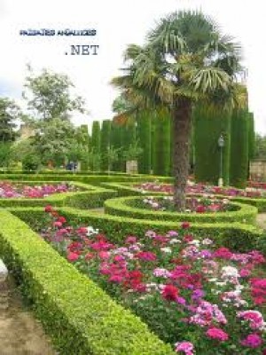 Victor Anuncios gratis en San Miguel |  Adulto Mayor Oto&ntilde;os Felices le invita a Participar en los Tour, Vadivia -- Puyehue