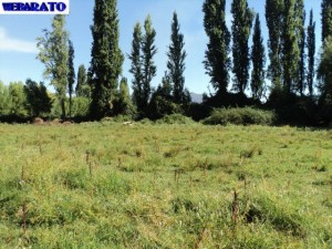 jose Anuncios gratis en San Fernando |  6ta Region,San vicente tagua Tagua,Terreno de 1880 M2,Excelente Ubicaci&oacute;n, REAL OPORTUNIDAD