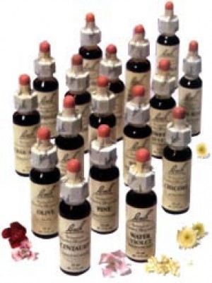 Carola Anuncios gratis en Santiago |  Terapias Flores de Bach, Reiki, Hu&eacute;rfanos con Ahumada