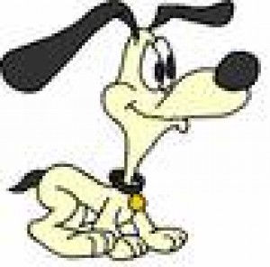 CARLOS BRAVO Anuncios gratis en Vi&ntilde;a del Mar |  PELUQUER&Iacute;A CANINA, Retiro domicilio GRATIS