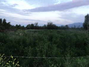 Jos&eacute; Anuncios gratis en San Fernando |  6ta Regi&oacute;n,Terreno de 691,92 M2,a 4 minutos de San Vicente TT, luz,agua,lad, Oportunidad,Excelente ubicaci&oacute;n