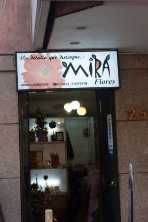 Bella Visi&oacute;n  Anuncios gratis en San Miguel |  Letreros luminosos Backlight - Paloma Publicitaria- Toldos, Impresos en alta Resoluci&oacute;n Valor M.cuadrado $100.000 + iva 