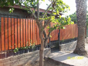 zunny Anuncios gratis en Maip&uacute; |  POR VIAJE REMATO CASA, Maipu 15 pajaritos