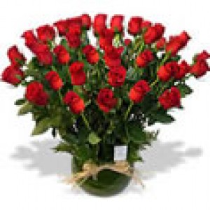 Floreria Rosalinda Anuncios gratis en Independencia |  Florer&iacute;a a Domicilio: Arreglos Florales, Rosas Ecuatorianas y Ramos, www.rosalinda.cl