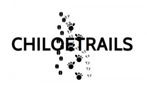 CHILOETRAILS Anuncios gratis en Castro |  CHILOETRAILS, AGENCIA DE TURISMO: CONOCE CHILO&Eacute;, COTICE