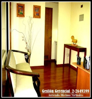 Gesti&oacute;n Gerencial Anuncios gratis en Providencia |  �AHORRA AHORA! PLANES ECON&Oacute;MICOS A TU ALCANCE, Oficina Virtual