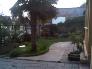 NATALIA ALARCON Anuncios gratis en Rapel de Navidad |  SE ARRIENDA GRAN CASA, GRAN CASA EN ARRIENDO, APTA PARA USO INSTITUCIONAL