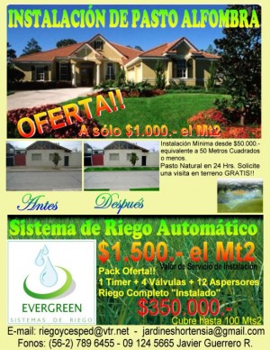 Javier Guerrero Anuncios gratis en Santiago |  Pasto Alfombra Riego Autom&aacute;tico, Instalaci&oacute;n de C&eacute;sped Instant&aacute;neo y riego , Instalamos pasto alfombra a s&oacute;lo $1.000.- el metro cuadrado.