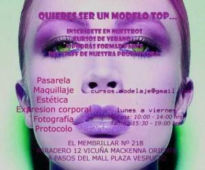  Anuncios gratis en Santiago |  CURSO DE MODELAJE, INSCRIBETE EN NUESTROS CURSOS DE VERANO!!!!!!!!!!!!!