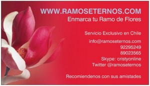 cristina Diaz Anuncios gratis en Calama |  Ramo Eterno: Enmarcado de Ramos de Novia, Cristina Diaz, Marco, cuadro, ramos, flores Santiago y Regiones