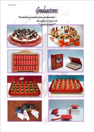 PAULA Anuncios gratis en Estaci&oacute;n Central |  Encintados P&E, EMPRESA FAMILIA