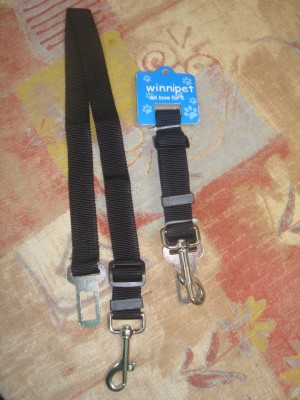 kathia cort&eacute;s vera Anuncios gratis en Valdivia |  Cintur&oacute;n de seguridad para perro. Correa para llevar al perro en el auto., Precio: $5.000 ;se aceptan transferencias bancarias o dep&oacute;sitos. Valdivia