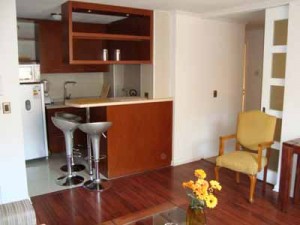 HomeChile Anuncios gratis en Providencia |  Departamentos amoblados en Santiago, Providencia y Las Condes, &iquest;Buscas un departamento amoblado?