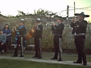 johnny luis Anuncios gratis en Maip&uacute; |  Queda como rey regalando serenatas sal y tequila mariachis, 4X$50.000. sal y tequila 02-6388358 / 7-6260519