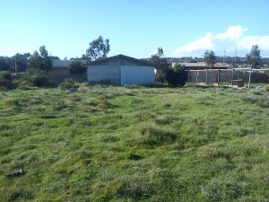 sra nina Anuncios gratis en El Quisco |  excelente terreno de 1200 metros cuadrados, a pasos  de la playa principal