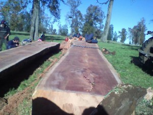 CARLOS GONZALEZ Anuncios gratis en Antofagasta |  DURMIENTES EN RONLE PELLIN , ROBLE HUALLE Y COIHUE, MADERAS NATIVAS, ROBLE, COIHUE, MA&Ntilde;IO, CIPRESS , PINO OREGON , ULMO 