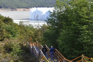 RODOLFO D�AZ MIRANDA Anuncios gratis en Punta Arenas |  TOUR AL M&Iacute;TICO GLACIAR DE PERITO MORENO EN ARGENTINA GRUPAL Y POR EL D&Iacute;A , TORRES DEL PAINE PLAN FAMILIAR $30.000 POR PERSONA turismomercury@gmailcom