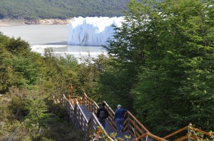 RODOLFO D�AZ MIRANDA Anuncios gratis en Punta Arenas |  TOUR LE HACEMOS REALIDAD DE CONOCER LA PATAGONIA CHILENA-ARGENTINA , TOUR GLACIAR PERITO MORENO Y TORRES DEL PAINE CEL.95108638 TURISMO MERCURY
