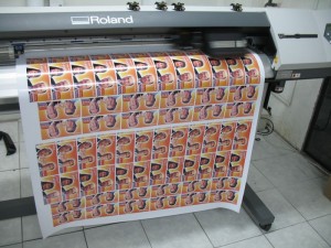 IMPRESERVI Anuncios gratis en Concepci&oacute;n |  SERVICIOS DE IMPRESION DIGITAL, ADHESIVOS - BANDERAS - PENDONES - LIENZOS