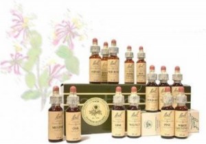 Dafne Anuncios gratis en Valpara&iacute;so |  Tratamiento de Flores de Bach a domicilio., Tratamiento de Flores de Bach Valparaiso , Vi&ntilde;a del Mar