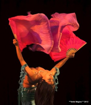 Irisis Ghadim Anuncios gratis en Providencia |  Clases de danza &aacute;rabe Todos los S&aacute;bados, Metro Baquedano