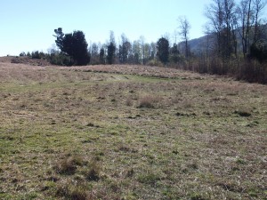 kim Crisosto Anuncios gratis en Villarrica |  permuto sitio por auto de 5000000, hermoso sitio de 1200mt2 luz agua