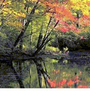 Vivian Anuncios gratis en Santiago |  El mejor terapeuta del mundo, se otorgaTitulo, curso gratis xmail ,mundial, RECIBETE DE TERAPEUTA Y EJERCE LA PROFESION DE MAYOR DEMANDA MUNDIAL