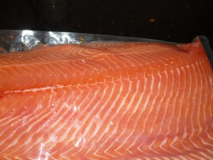 Kako Fish Ltda. Anuncios gratis en Providencia |  COMERCIALIZADORA  DE PRODUCTOS DEL MAR KAKO FISH, Fauna Marina