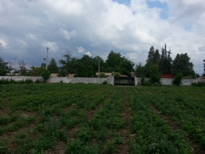 Lisa Labra Anuncios gratis en  venta de parcela de agrado en rengo, parcela de agrado