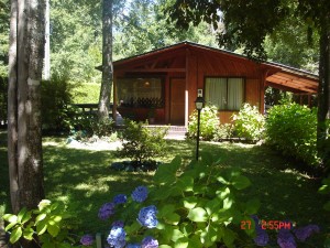 waleska Anuncios gratis en Puc&oacute;n |   En Puc&oacute;n arriendo caba&ntilde;a, Se arrienda caba&ntilde;a en Puc&oacute;n rodeada de ambiente natural