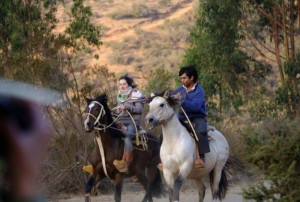 campesano Anuncios gratis en Villa Alemana |  Clases de Equitacion - Cursos para montar un caballo y para cabalgar, Principiantes y avancados. En espa&ntilde;ol, ingles y aleman.