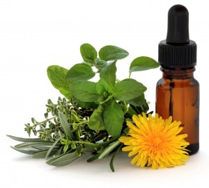 Adadelca Anuncios gratis en Iquique |  Terapia de Flores de Bach, Para Ni&ntilde;os,Adultos y Animales