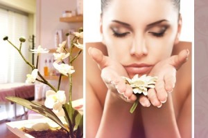 cecilia Anuncios gratis en San Miguel |  masajes terapeuticos para damas , aroma terapia y musica terapia 