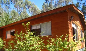 Claudia Cotapos Anuncios gratis en El Quisco |  El Quisco Playa Bosque y Amplio Entorno, arriendo casa 5p 40.000 (75396952), Direct tv, wifi