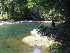 Doris Barra Anuncios gratis en Puc&oacute;n |  En Huife te espera un hermoso camping rodeado de naturaleza y tranquilidad, cerca de las termas y parques nacionales