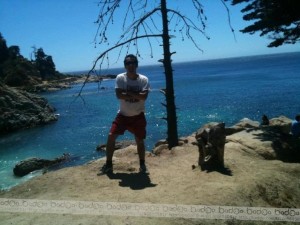 FELIPE FERNANDEZ Anuncios gratis en Rapel de Navidad |  OFERTAS TURISTICAS 2012 - 2013  EN TODO CHILE , VIAJA A PRECIOS MODICOS