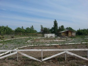 Lisa Labra Anuncios gratis en  Parcela de agrado , con caba&ntilde;a y quincho contruidos, parcela de grado