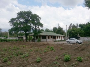 Lisa Labra Anuncios gratis en  Parcela de agrado , con hermosa casa, parcela de agrado